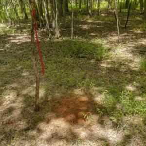 Photo of UNDER CONTRACT!!  18.42 Acre Homesite For Sale in Orange County NC!
