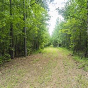 Photo of UNDER CONTRACT!!  18.42 Acre Homesite For Sale in Orange County NC!