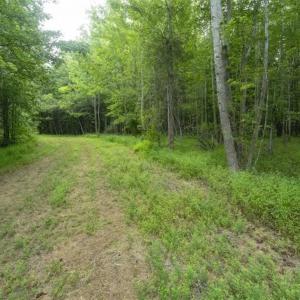 Photo of UNDER CONTRACT!!  18.42 Acre Homesite For Sale in Orange County NC!