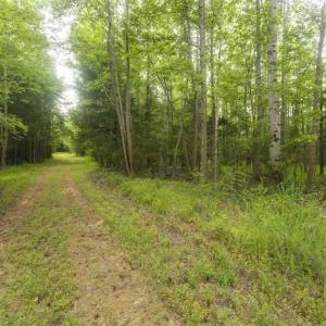 Photo of UNDER CONTRACT!!  18.42 Acre Homesite For Sale in Orange County NC!