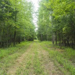 Photo of UNDER CONTRACT!!  18.42 Acre Homesite For Sale in Orange County NC!