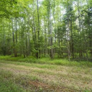Photo of UNDER CONTRACT!!  18.42 Acre Homesite For Sale in Orange County NC!