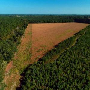 Photo of SOLD!!  20 Acres of Farm Land For Sale in Robeson County NC!