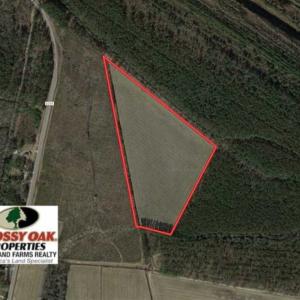 Photo of SOLD!!  20 Acres of Farm Land For Sale in Robeson County NC!