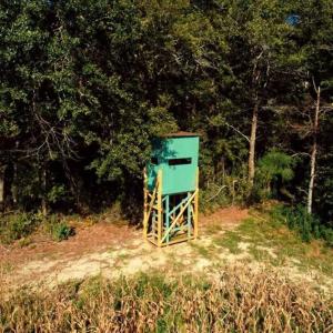 Photo of SOLD!!  20 Acres of Farm Land For Sale in Robeson County NC!