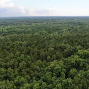 Photo of 107 Acres of  Development and Timber Land For Sale in Hoke County NC!