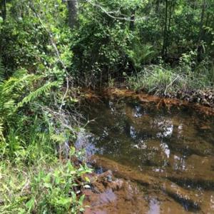 Photo of 107 Acres of  Development and Timber Land For Sale in Hoke County NC!
