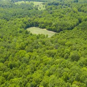 Photo of UNDER CONTRACT!!  85.62 +/- Acres of Hunting and Farm Land For Sale in Person County NC!