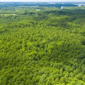 Photo of UNDER CONTRACT!!  85.62 +/- Acres of Hunting and Farm Land For Sale in Person County NC!