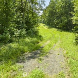 Photo of UNDER CONTRACT!!  85.62 +/- Acres of Hunting and Farm Land For Sale in Person County NC!