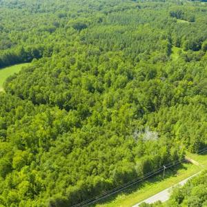 Photo of UNDER CONTRACT!!  85.62 +/- Acres of Hunting and Farm Land For Sale in Person County NC!