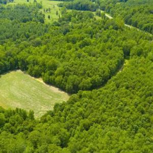 Photo of UNDER CONTRACT!!  85.62 +/- Acres of Hunting and Farm Land For Sale in Person County NC!