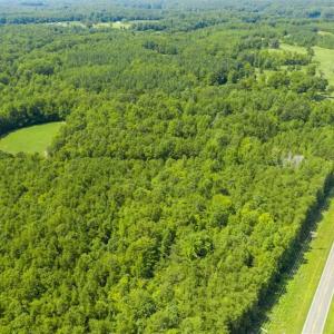 Photo of UNDER CONTRACT!!  85.62 +/- Acres of Hunting and Farm Land For Sale in Person County NC!