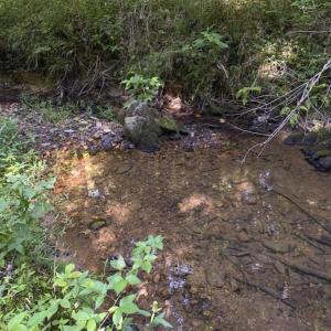 Photo of UNDER CONTRACT!!  85.62 +/- Acres of Hunting and Farm Land For Sale in Person County NC!