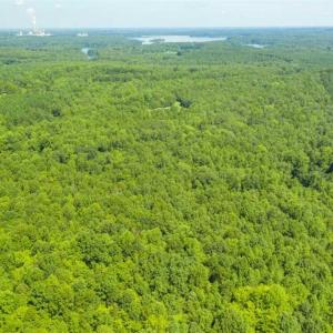 Photo of UNDER CONTRACT!!  85.62 +/- Acres of Hunting and Farm Land For Sale in Person County NC!