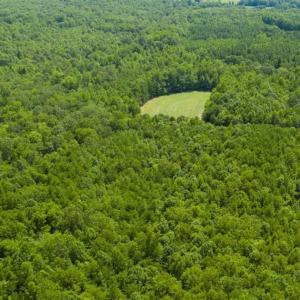 Photo of UNDER CONTRACT!!  85.62 +/- Acres of Hunting and Farm Land For Sale in Person County NC!