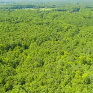 Photo of UNDER CONTRACT!!  85.62 +/- Acres of Hunting and Farm Land For Sale in Person County NC!