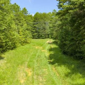 Photo of UNDER CONTRACT!!  85.62 +/- Acres of Hunting and Farm Land For Sale in Person County NC!