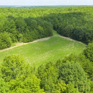 Photo of UNDER CONTRACT!!  85.62 +/- Acres of Hunting and Farm Land For Sale in Person County NC!