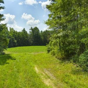 Photo of UNDER CONTRACT!!  85.62 +/- Acres of Hunting and Farm Land For Sale in Person County NC!