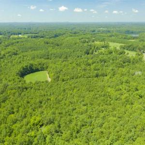 Photo of UNDER CONTRACT!!  85.62 +/- Acres of Hunting and Farm Land For Sale in Person County NC!