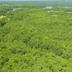 Photo of UNDER CONTRACT!!  85.62 +/- Acres of Hunting and Farm Land For Sale in Person County NC!