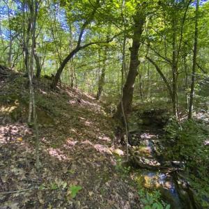 Photo of UNDER CONTRACT!!  85.62 +/- Acres of Hunting and Farm Land For Sale in Person County NC!