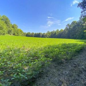 Photo of UNDER CONTRACT!!  85.62 +/- Acres of Hunting and Farm Land For Sale in Person County NC!