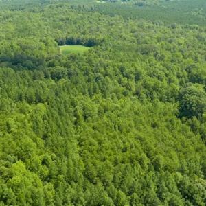 Photo of UNDER CONTRACT!!  85.62 +/- Acres of Hunting and Farm Land For Sale in Person County NC!