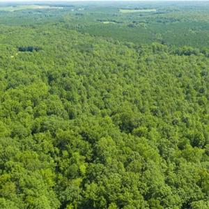 Photo of UNDER CONTRACT!!  85.62 +/- Acres of Hunting and Farm Land For Sale in Person County NC!