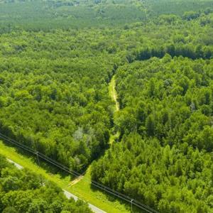 Photo of UNDER CONTRACT!!  85.62 +/- Acres of Hunting and Farm Land For Sale in Person County NC!