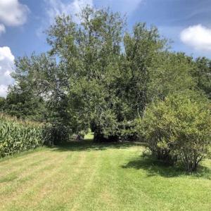 Photo of UNDER CONTRACT!!  0.55 Acre Lot with Brick Home For Sale in Hyde County NC!