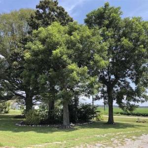 Photo of UNDER CONTRACT!!  0.55 Acre Lot with Brick Home For Sale in Hyde County NC!