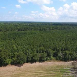 Photo of SOLD!!  47.5 Acres of Residential and Recreational Land For Sale in Duplin County NC!