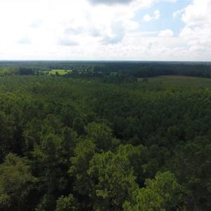 Photo of SOLD!!  47.5 Acres of Residential and Recreational Land For Sale in Duplin County NC!