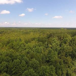 Photo of SOLD!!  47.5 Acres of Residential and Recreational Land For Sale in Duplin County NC!