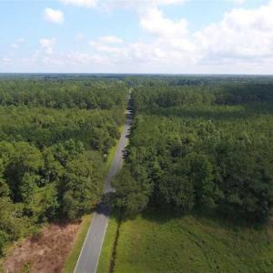 Photo of SOLD!!  47.5 Acres of Residential and Recreational Land For Sale in Duplin County NC!