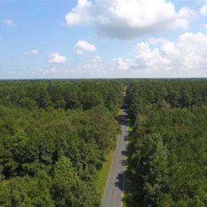 Photo of SOLD!!  47.5 Acres of Residential and Recreational Land For Sale in Duplin County NC!