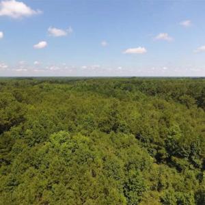 Photo of SOLD!!  47.5 Acres of Residential and Recreational Land For Sale in Duplin County NC!