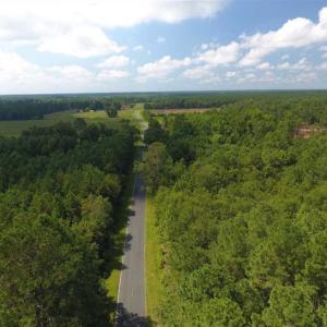 Photo of SOLD!!  47.5 Acres of Residential and Recreational Land For Sale in Duplin County NC!