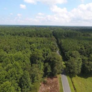 Photo of SOLD!!  47.5 Acres of Residential and Recreational Land For Sale in Duplin County NC!