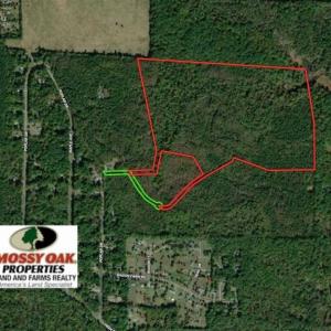 Photo #1 of SOLD property in Off Poplar Drive, Efland, NC 77.8 acres