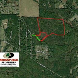 Photo #2 of SOLD property in Off Poplar Drive, Efland, NC 77.8 acres