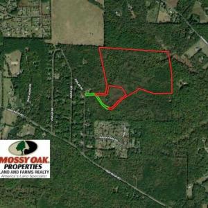 Photo #2 of SOLD property in Off Poplar Drive, Efland, NC 77.8 acres