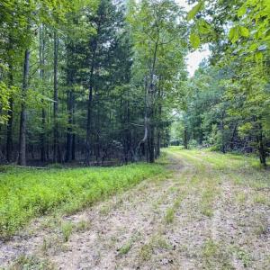 Photo #8 of SOLD property in Off Poplar Drive, Efland, NC 77.8 acres