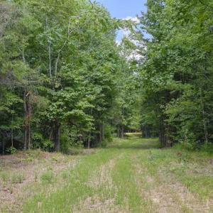 Photo #5 of SOLD property in Off Poplar Drive, Efland, NC 77.8 acres