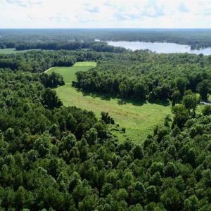 Photo of SOLD!!  33.41 Acres of Hunting and Timber Land For Sale in Beaufort County NC!