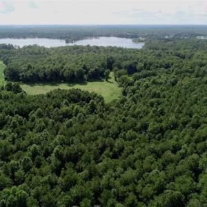 Photo of SOLD!!  33.41 Acres of Hunting and Timber Land For Sale in Beaufort County NC!