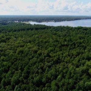 Photo of SOLD!!  33.41 Acres of Hunting and Timber Land For Sale in Beaufort County NC!