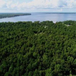 Photo of SOLD!!  33.41 Acres of Hunting and Timber Land For Sale in Beaufort County NC!